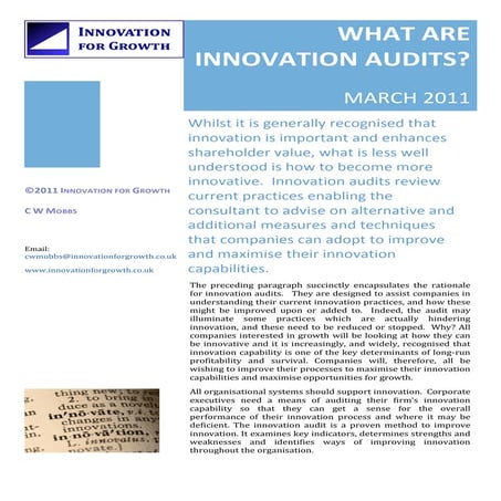What are innovation audits
