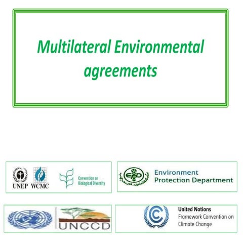 What are multilateral environmental agreements