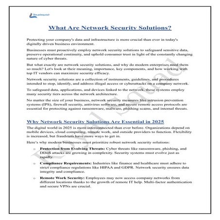 What Are Network Security Solutions | Royal Squad | PDF