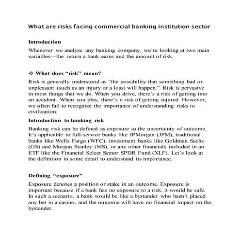 What are risks facing commercial banking institution sector by hamze dalha