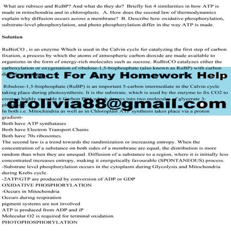 What are rubisco and RuBP And what do they do  Briefly list 4 simil.pdf