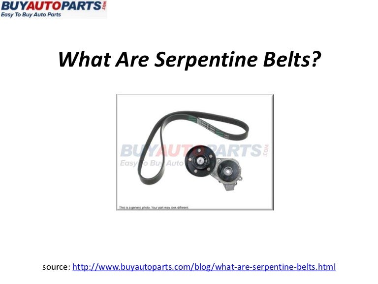 What are serpentine belts?