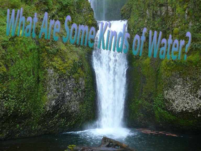 What Are Some Kinds Of Water Lesson 2 Chapter 5