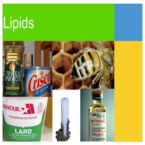 What are some properties of these groups.ppt