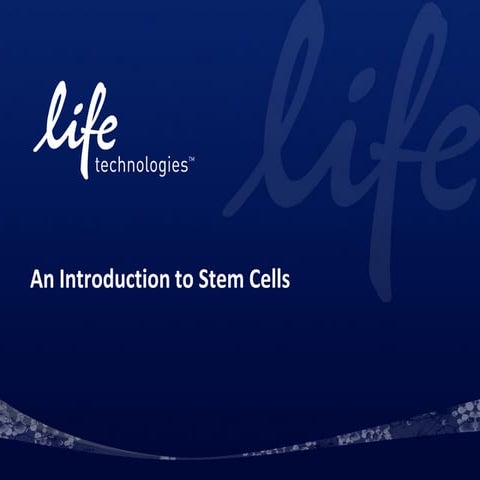 What are stem cells? An introduction to different types of stem cells.