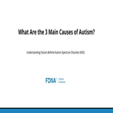What Are the 3 Main Causes of Autism.pdf