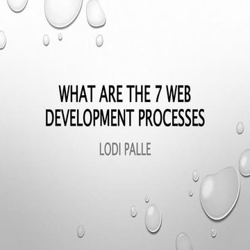 What are the 7 Web Development Processes - Lodi Palle