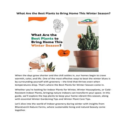 What Are the Best Plants to Bring Home This Winter Season? | PDF
