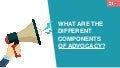 What are the different components of advocacy