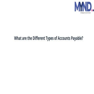 What are the Different Types of Accounts Payable?
