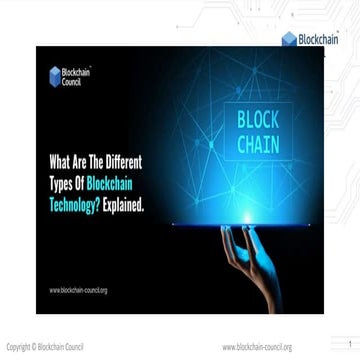 What are the different types of blockchain technology explained | PPT