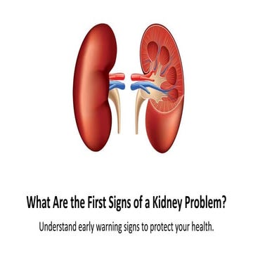 What are the first signs of a kidney problem.pdf
