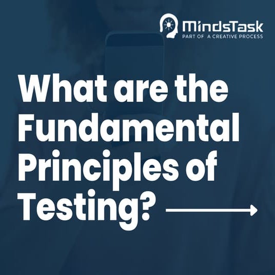 What are the fundamental principles of testing.pdf