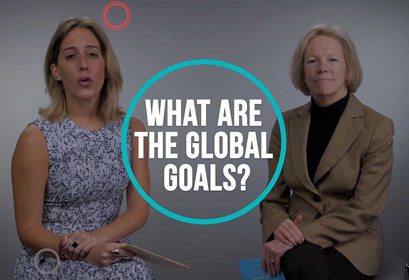 What are the Global Goals