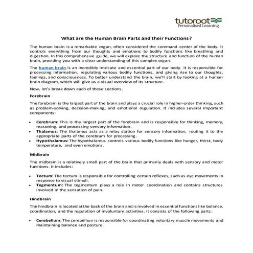 What are the Human Brain Parts and their Functions?