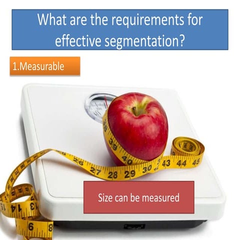 What are the requirements for effective segmentation