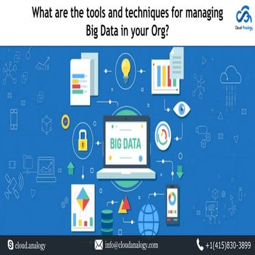 What are the tools and techniques for managing Big Data in your Org