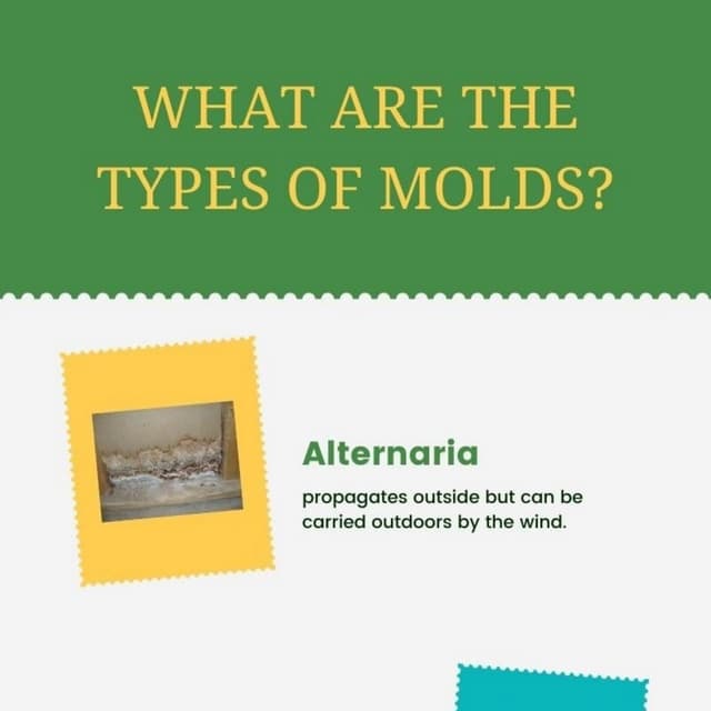 Fit The Mold Synonyms : FIT THE MOULD definition in American English – TSMA