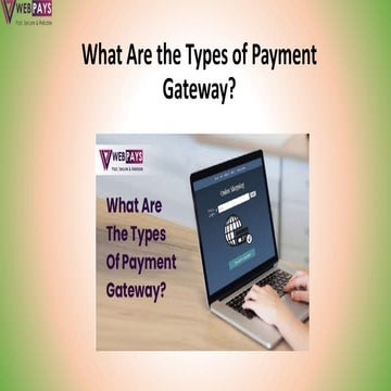 What Are the Types of Payment Gateway -WebPays