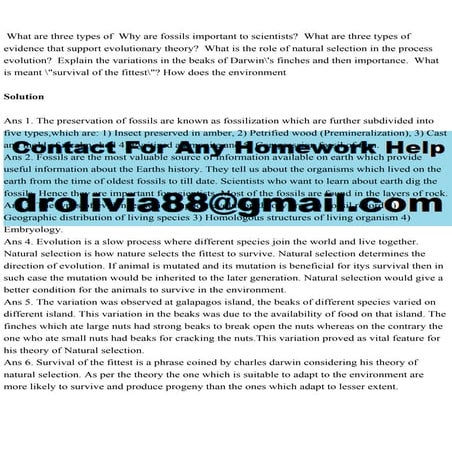 What are three types of  Why are fossils important to scientists.pdf