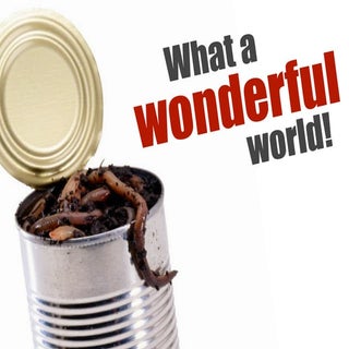 What A Wonderful World!