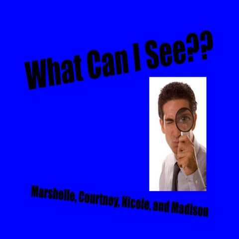 What can i see. arti fact