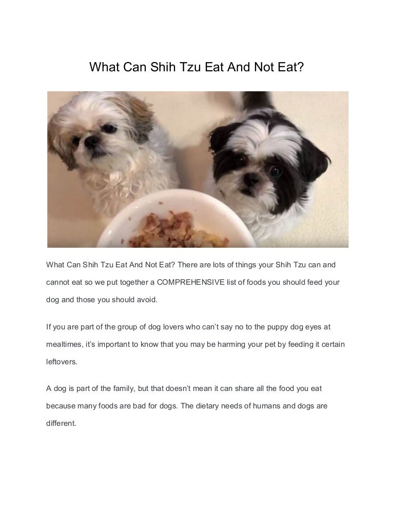 What Can Shih Tzu Eat And Not Eat