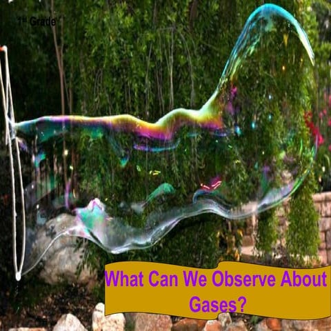 What can we observe about gases