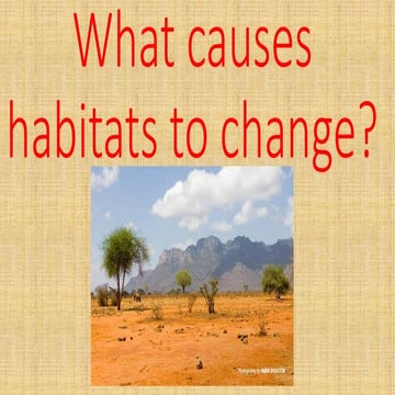 What causes habitats to change