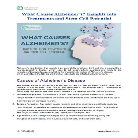 What Causes Alzheimer’s? Insights into Treatments and Stem Cell Potential