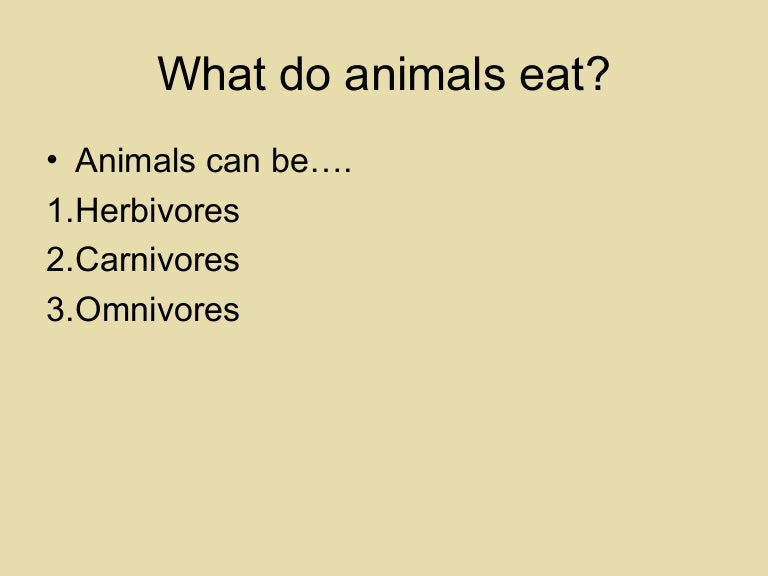 What do animals eat