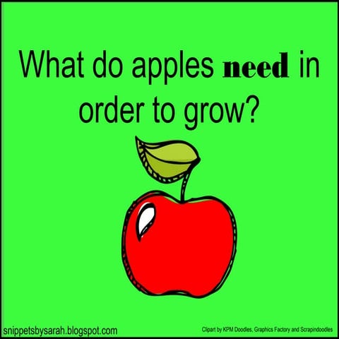 What do apples need to grow