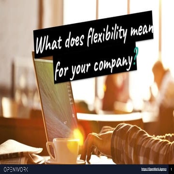 What does flexibility mean for your company?  by OpenWork Agency