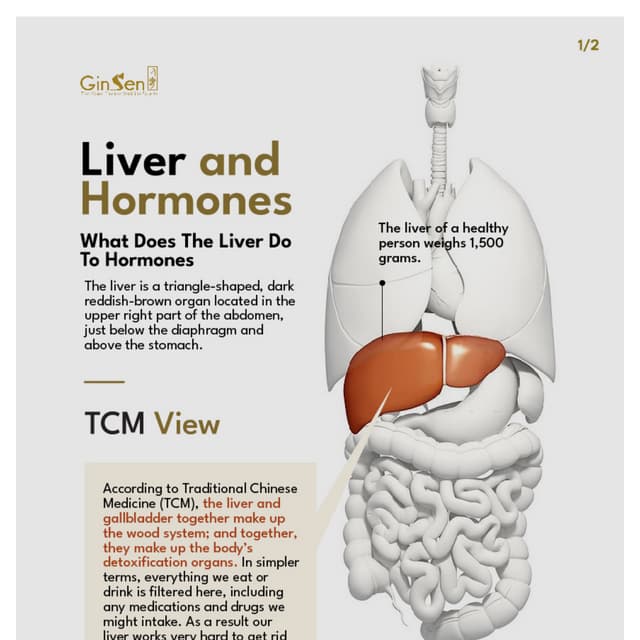 What Does the Liver Do to Hormones