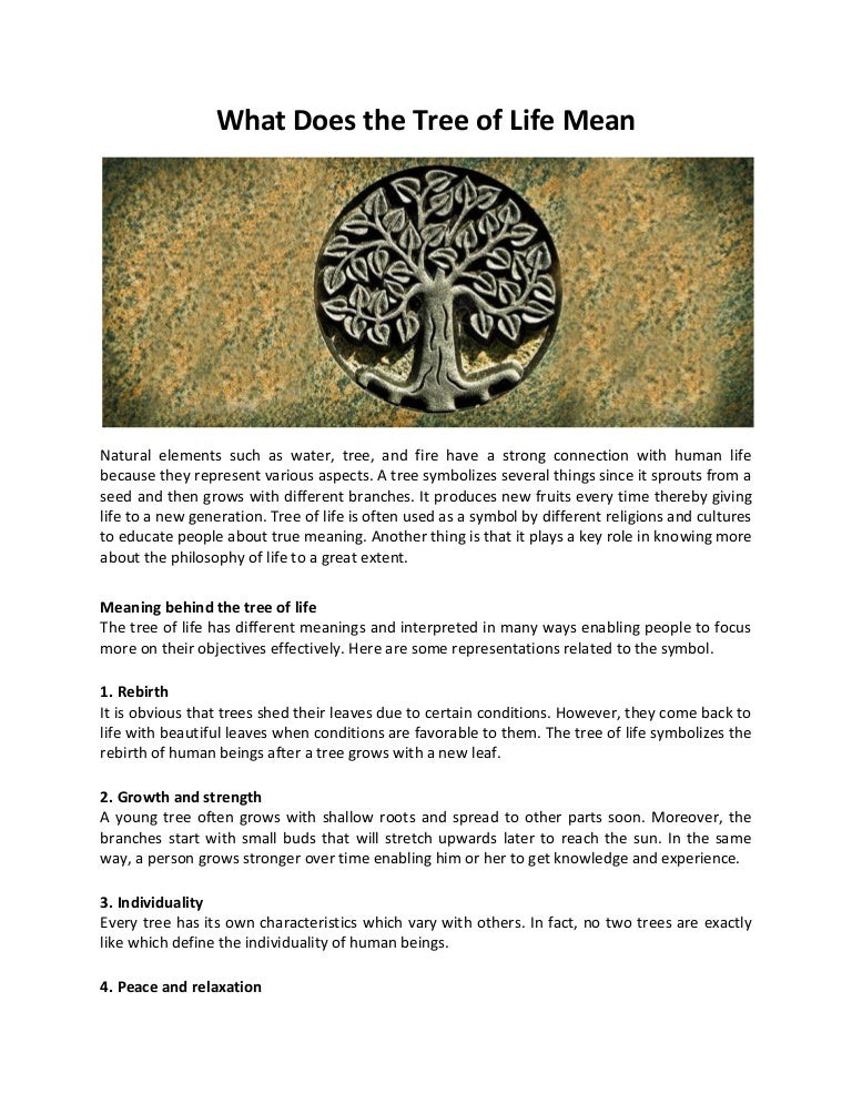 What Does the Tree of Life Mean?