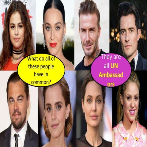 What does the_united_nations_do