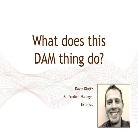 What does this DAM thing do?