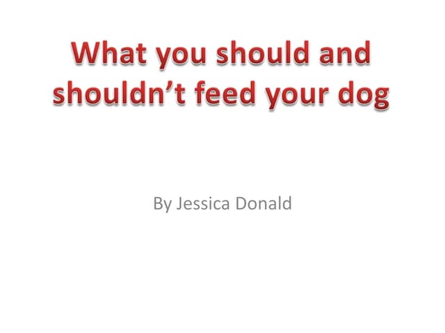 What dogs can and can't eat