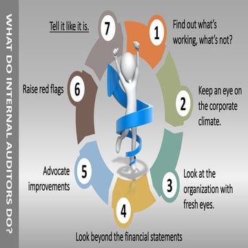 What do internal auditors do? | PDF