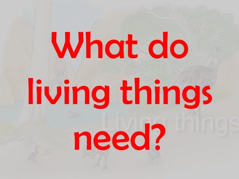 What do living things need to survive
