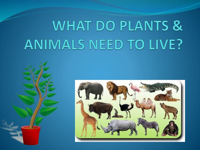Environmental Science (EVS) : Animals (Class II)