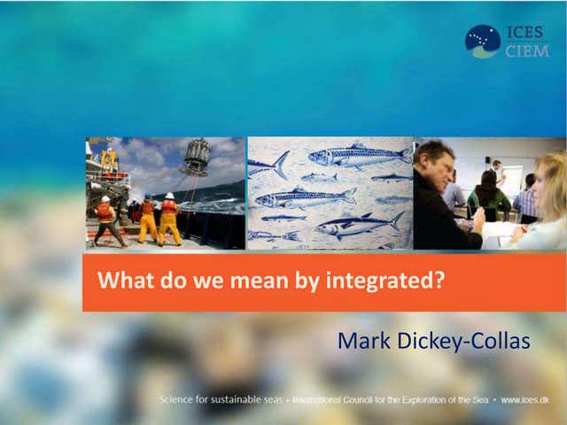 What do we mean by integration?