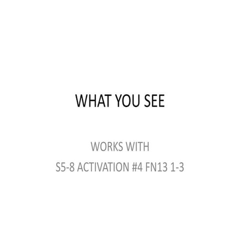 What do you see | PPTX