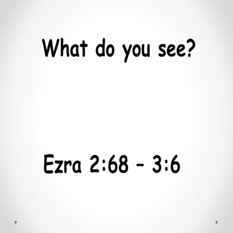 What Do You See?