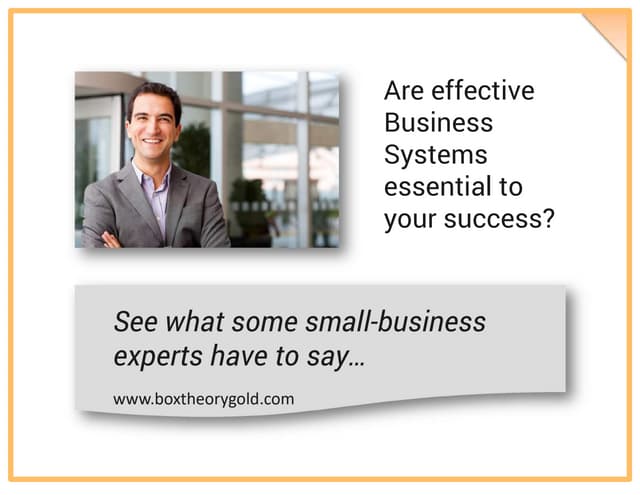 What experts say about business sys...