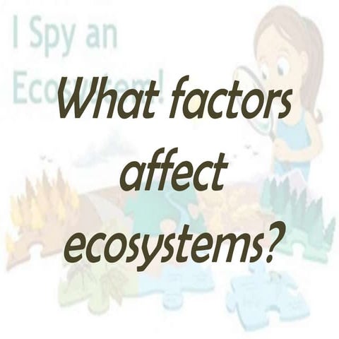 Living Things & The Environment | PPT