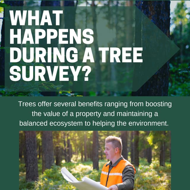What Happens During a Tree Survey PDF
