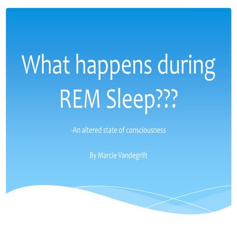 What happens during rem sleep powerpoint