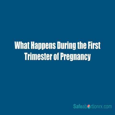 What Happens During the First Trimester of Pregnancy | PPTX