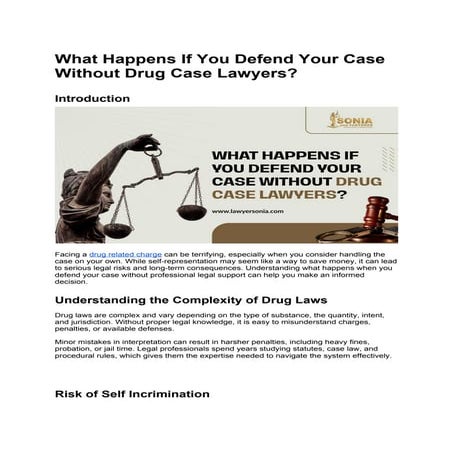 What Happens If You Defend Your Case Without Drug Case Lawyers.docx